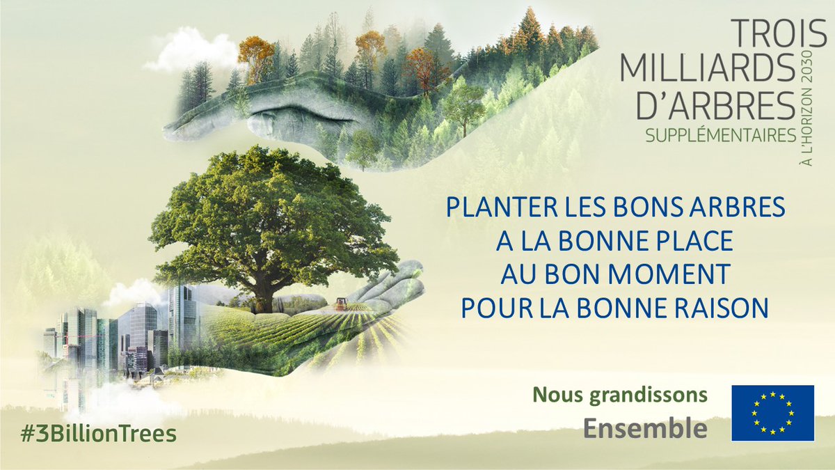 L'engagement de #UE à l'horizon 2030 ➡️planter 3 milliards d'arbres supplémentaires avec la promesse de planter ⤵️
🌲 Les bons arbres
🌳 A la bonne place
🌲 Pour la bonne raison
🌳 Et au bon moment
➡️ ec.europa.eu/environment/3-…
#IntlForestsDay 
#3BillionTrees #EUForests #ForNature