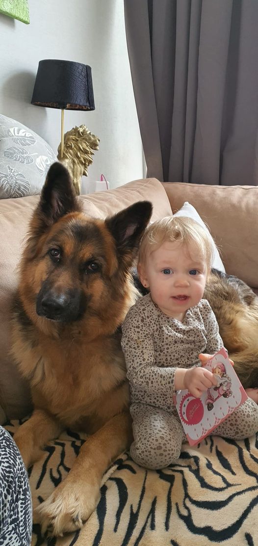 JanvanMouwerik's tweet photo. Vandaag is onze kleindochter Nynke 1 jaar geworden. Op de foto is ze met Minou, die echt alles goedvindt wat ze doet. https://t.co/UmkUC67PtF