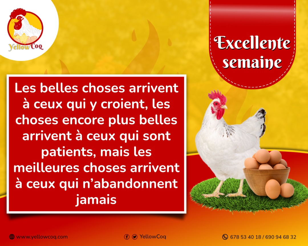 YellowCoq's tweet photo. Les batailles de la vie ne sont pas gagnées par les plus forts, ni par les plus rapides, mais par ceux qui n'abandonnent jamais. Excellente semaine https://t.co/TbEXHS2BfH