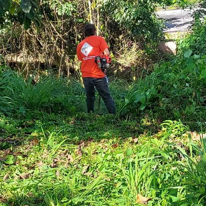 brigadaspr's tweet photo. ¿Qué impacto tiene cada brigada? Esta escuela restaurada comenzó al otro día sus Talleres Agrícolas luego de 15 años de abandono. #brigadaspr 🌳 ¡Agradecemos a Iniciativa Comunitaria Agrocultural de Aguas Buenas, a personas presente, a #WalmartPR y a Coop. de Seguros Múltiples 🇵🇷 https://t.co/Takv79b7uM