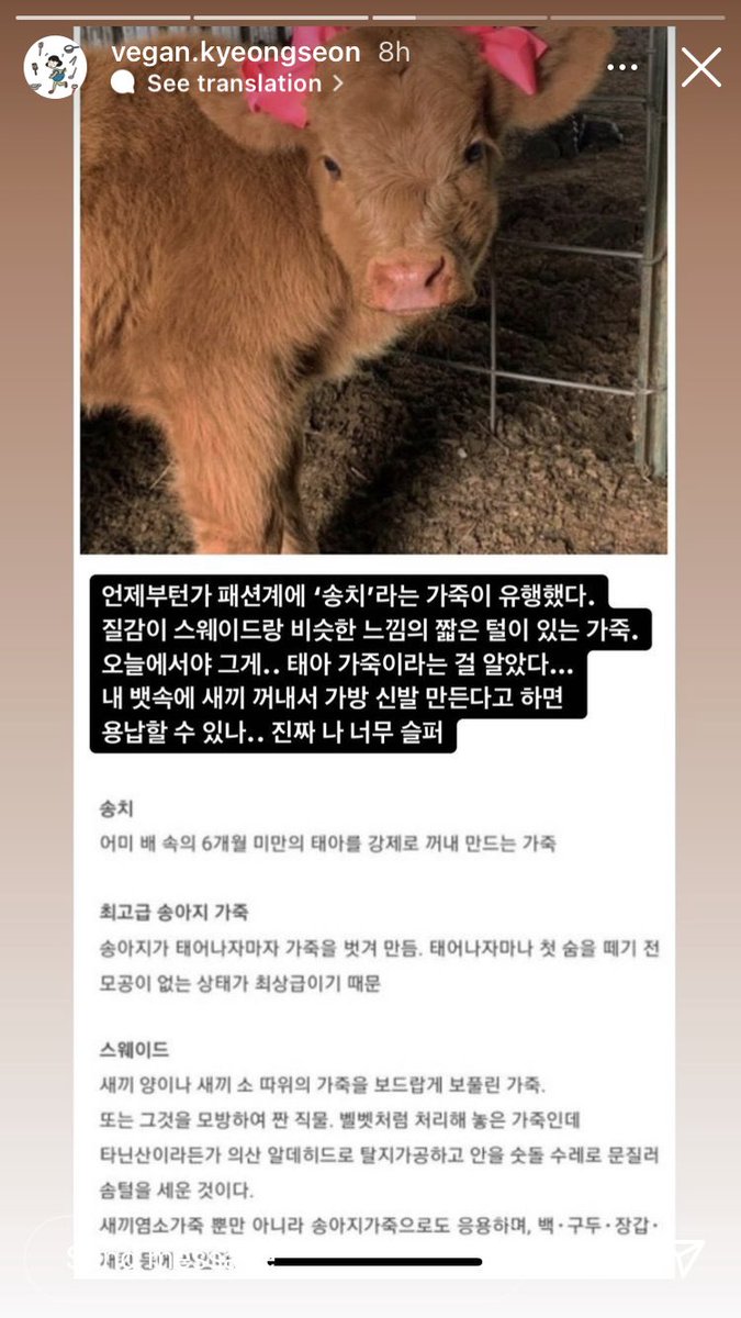 송치 가죽이 태어나지도 않은 송아지의 피부였다는 사실..