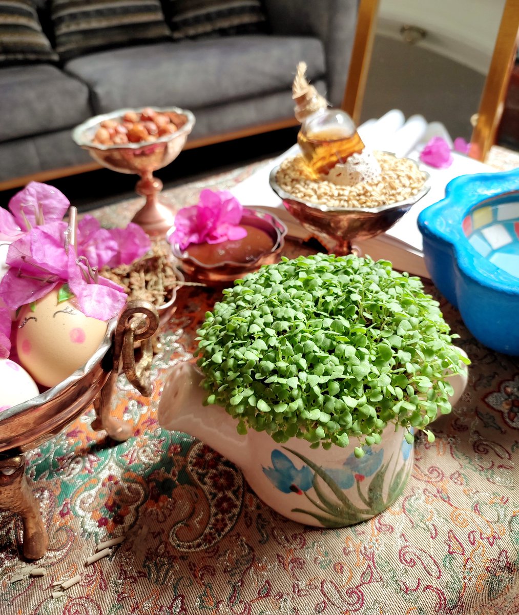 Azin0o0o's tweet photo. سبزه امسالمون هدیه ی یکی از شاگردام بود، میگه ریحون کاشتم وقتی بزرگ شد خانم معلم با پنیر بخوره💚
#عید_نوروز https://t.co/otayfnsxUi
