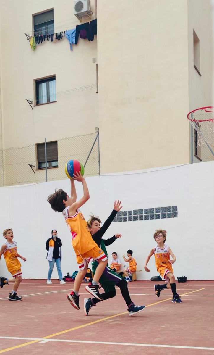 cbelpalo's tweet photo. 🏀 #PARTIDO | Partido de liga del #PreMiniMasc‘13 de Eli contra EBG.
Los peques hacen muy buen partido y se lo pasan genial. 
A seguir aprendiendo y disfrutando de la pelotita chicos ⛹🏻‍♂️⛹🏼🏀
#GoPalo🧡 
#EsePaloOE https://t.co/CTgENPhKFC