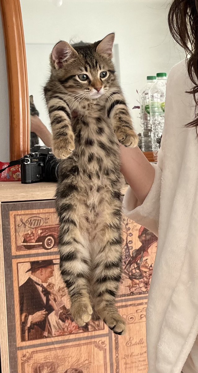 Anni bn 1 cop muym nden beni bole tutuosn