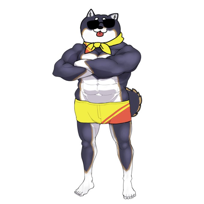 ムチムチしばちゃん楽しみですね https://t.co/bYvTHk0XAY 