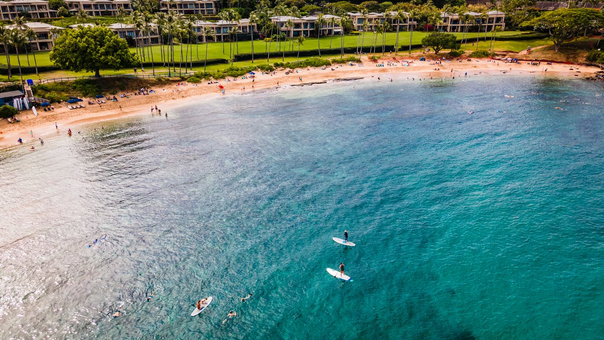 🏖 The PERFECT beach is waiting just for you! 

Visit our website to start planning your Maui vacation today!

KapaluaVacations.com

#mauibeaches #kapaluaresort #maui #mauihawaii #hawaii #mauivacation #kapaluavacations #ridgerealtymaui #beachdays #luxurytravel #kapaluavillas