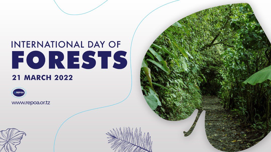 In commemoration of the International Day of Forests, REPOA shares her research report on “Poverty and Deforestation around the Gazetted Forests of the Coastal Belt of Tanzania” bit.ly/3wscTK2