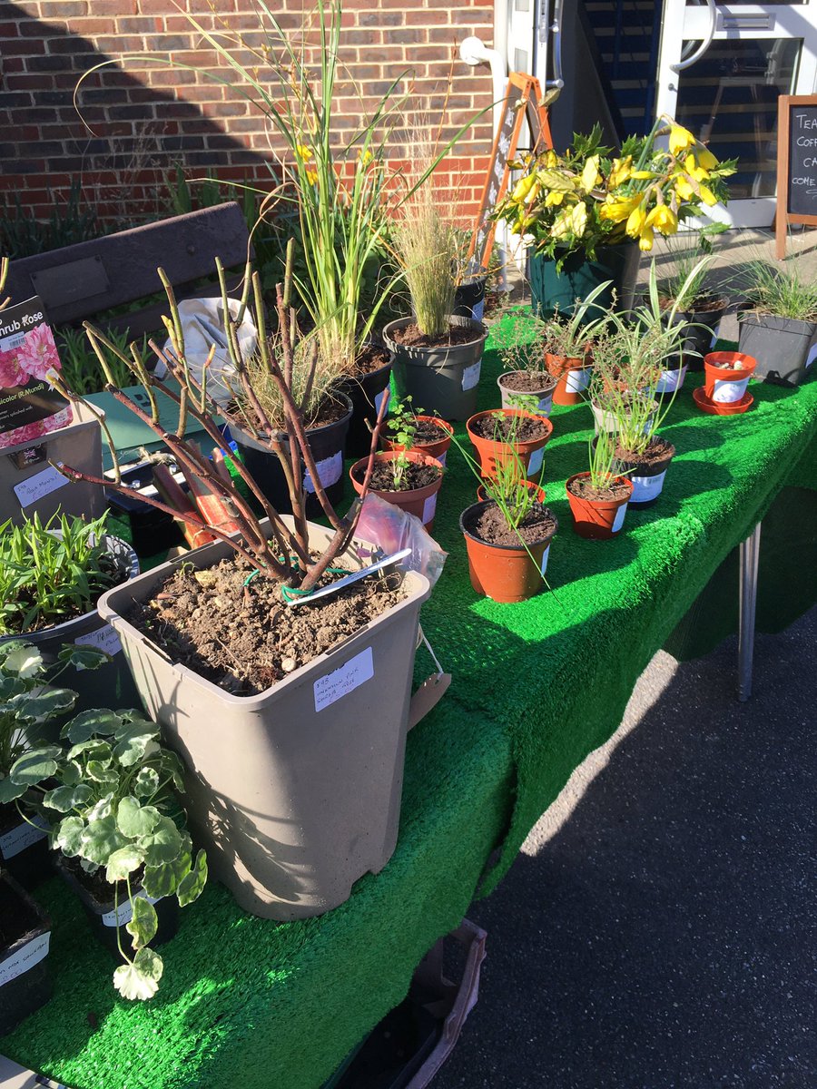 OxtedMarket's tweet photo. It’s Spring! We’ve got seasonal fruit and vegetables as well as plants and flowers! Pop in every Friday 9:30-11:30 opposite the swimming pool in Oxted and a few steps from Morrison’s. Please do come in and support a local business of gardeners, cooks, artists and craftspeople. https://t.co/9Azeb3eJyI