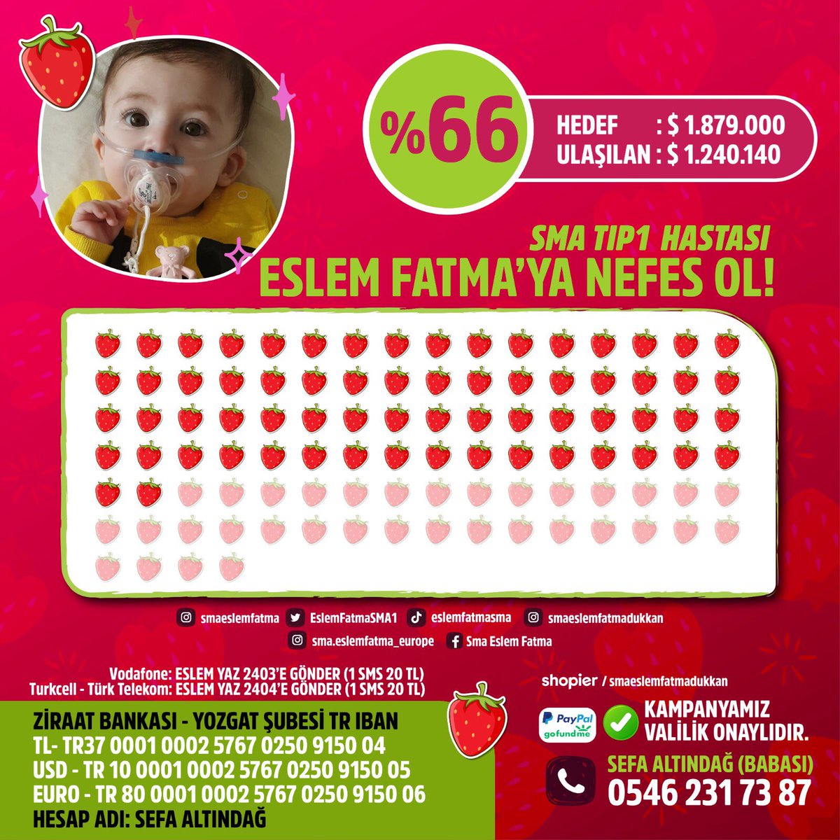 Kardesimsma's tweet photo. Birlikte başaracağız!🍓
Eslem Fatma’nın merhametli destekçileri, katkı ve bağışlarınızla bugün kampanyamız % 66 oldu.
İlmek ilmek ördüğümüz bu yolda bizleri yalnız bırakmayan herkese sonsuz teşekkürler. 🕊 https://t.co/1vwfJUdoHb