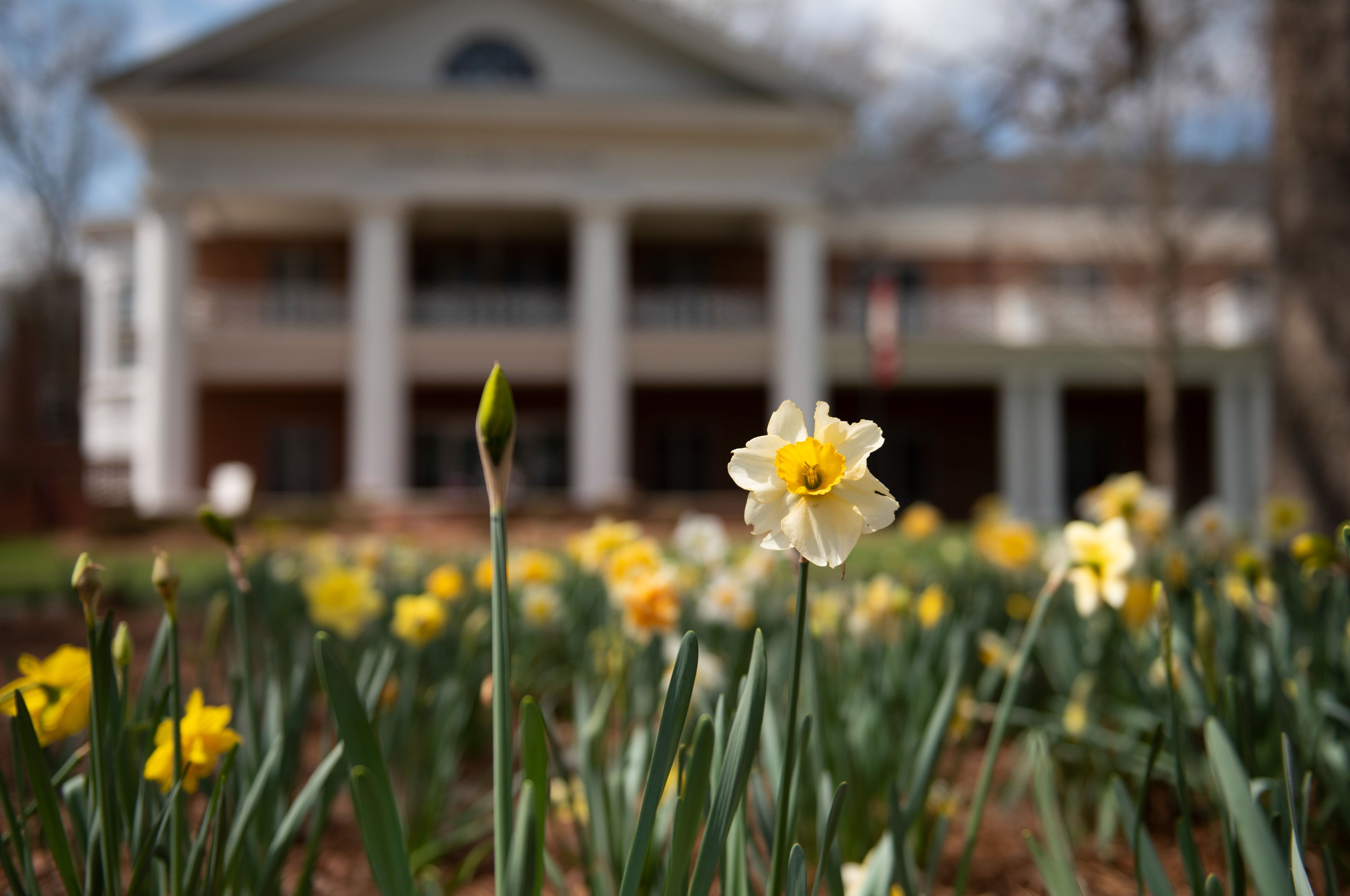 Elon University on Twitter: "Spring Break is over! Grateful to have our