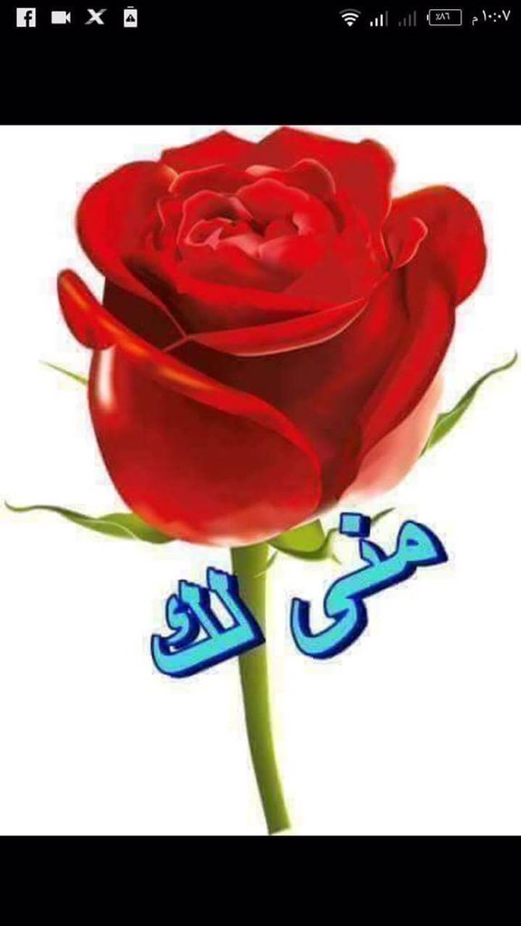 e_ashref's tweet photo. @wlyd44670885 https://t.co/UEW3e3xoLj