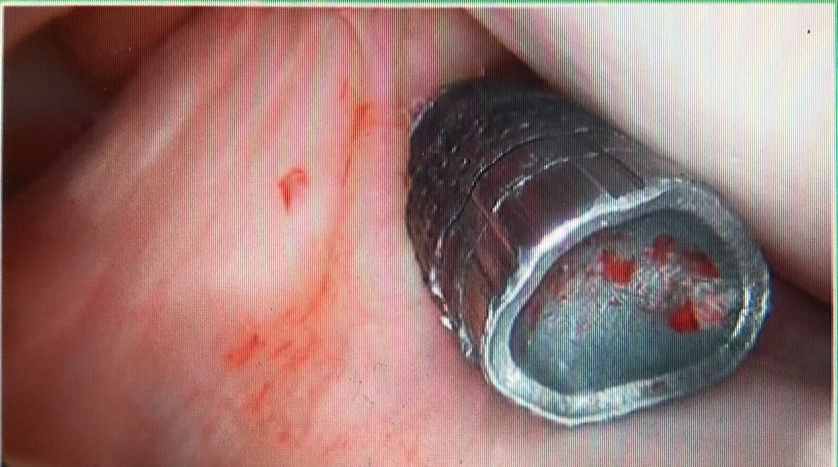 Clayton Nuelle, MD, FAAOS tweet media