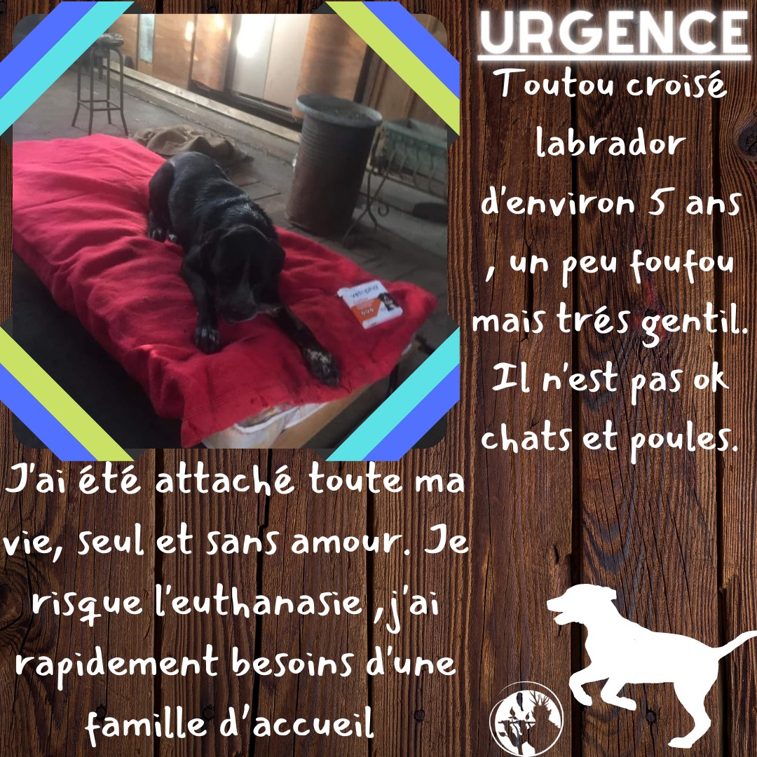 Association Le Cercle de P.A.N tweet media