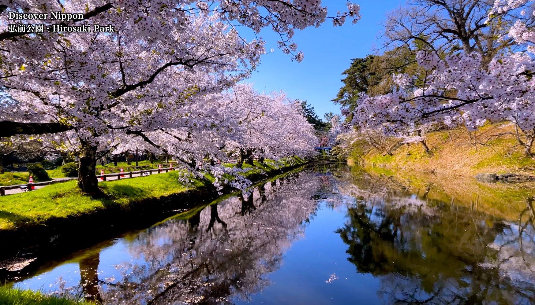 Uzivatel 桜便り 見頃や開花情報 Na Twitteru 昨年の春に撮影した東北の桜の名所４選です 一足早く 東北の満開絶景をお楽しみください You Tubeへ T Co 4hnndwvzye T Co 9vyqibrxzw Twitter