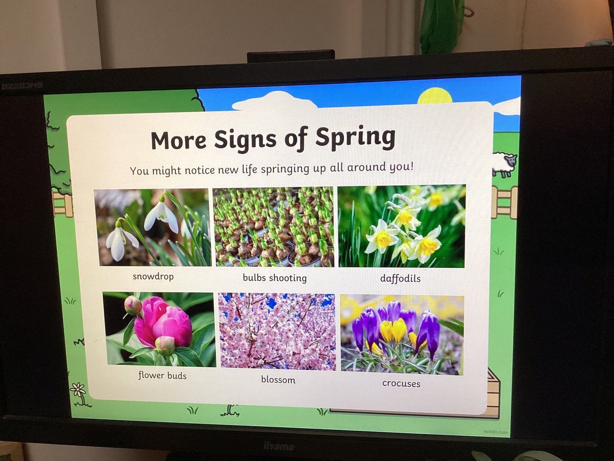 RavensdalePS's tweet photo. Signs of Spring. Colour mixing and observational drawing. It’s all going on this morning. #RPSYR #Spring https://t.co/hcmqhMScU9