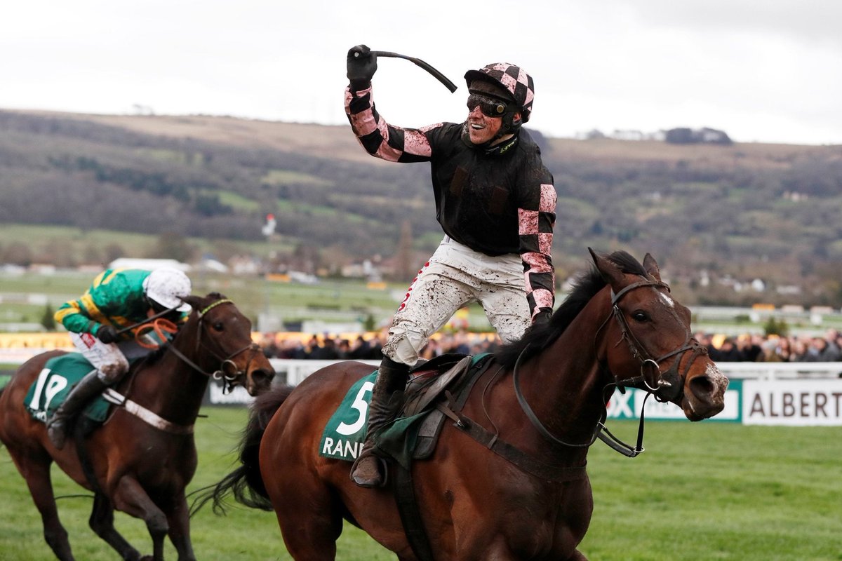 Dan Skelton Racing tweet media