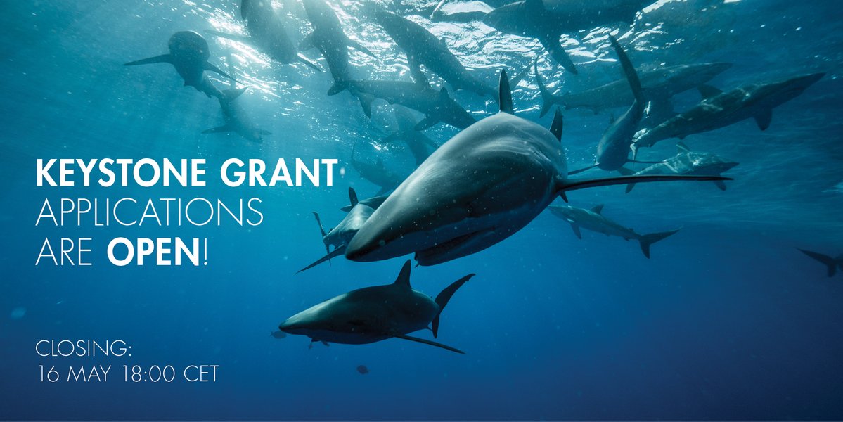 Save Our Seas tweet media