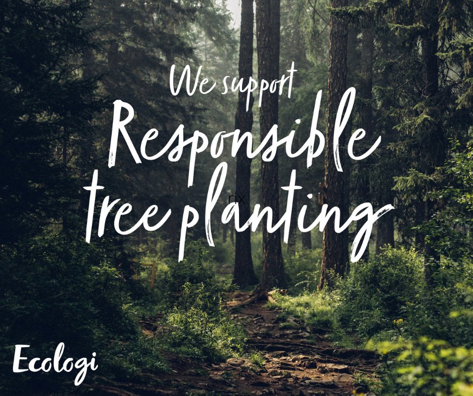 thinkdp's tweet image. Did you know that 21 March is International Day of Forests? We're proud to support trees through our partnership with #Ecologi_hq. You can too, simply by printing with us! 🌳🙂🌳
#expertsindeliveringprint
