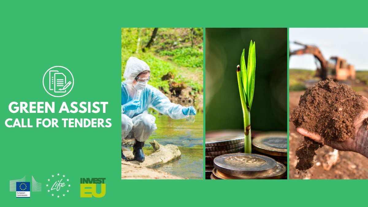 CINEA 🇪🇺 tweet media