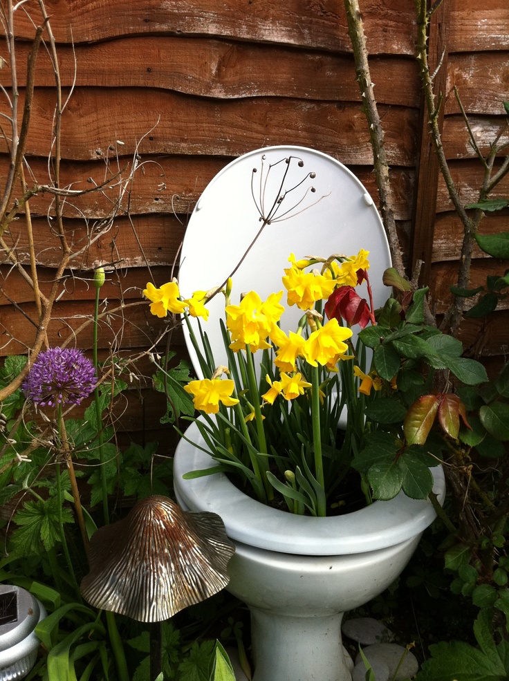 me_myrddin's tweet photo. Men have no forward thinking both Mick &amp; plumber laughed heads off when i asked for old toilet for a planter  whats wrong with them they look very funky  in garden🌻 https://t.co/T3CtDkoOeV