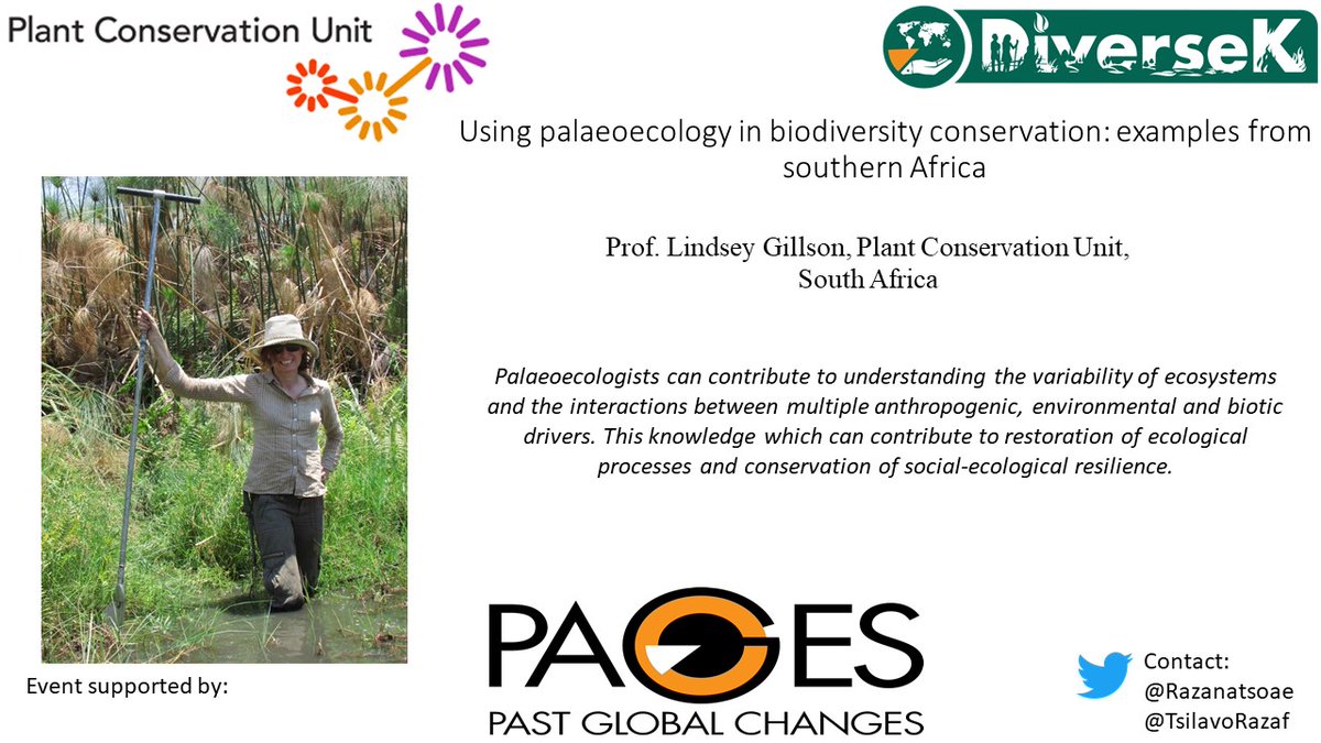 @PAGES_IPO #DiverseK #Paleo-#Stakeholder Workshop Speaker 8 👇 Lindsey Gillson will demonstrate how #paleoecology can contribute to #restoration of #ecological processes and #conservation of #social-ecological #resilience, using case studies from southern #Africa.