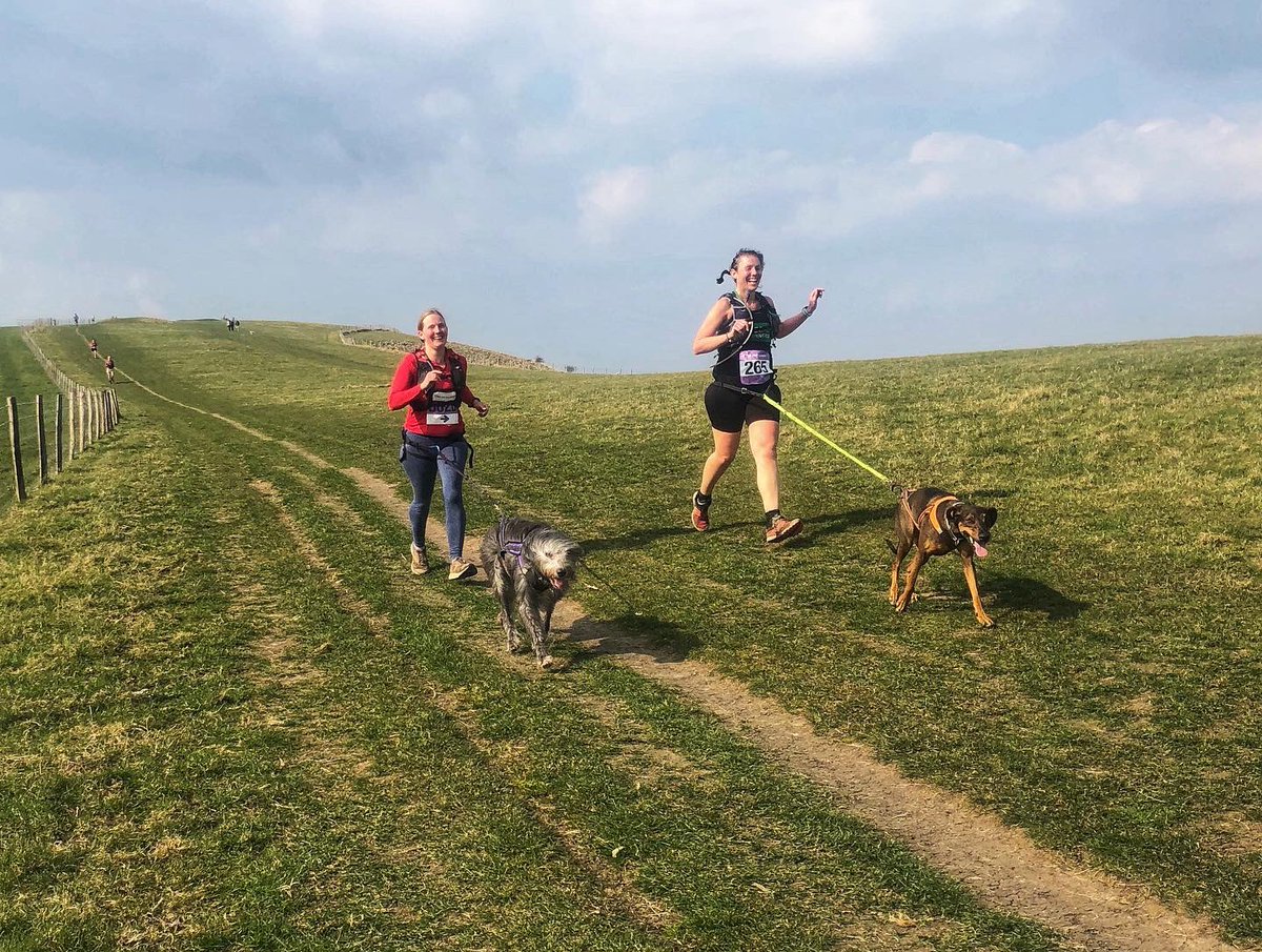 k9_runner's tweet photo. Well done runners! Glorious day for it 💜 #themoyleman https://t.co/Mss8y9hM0h