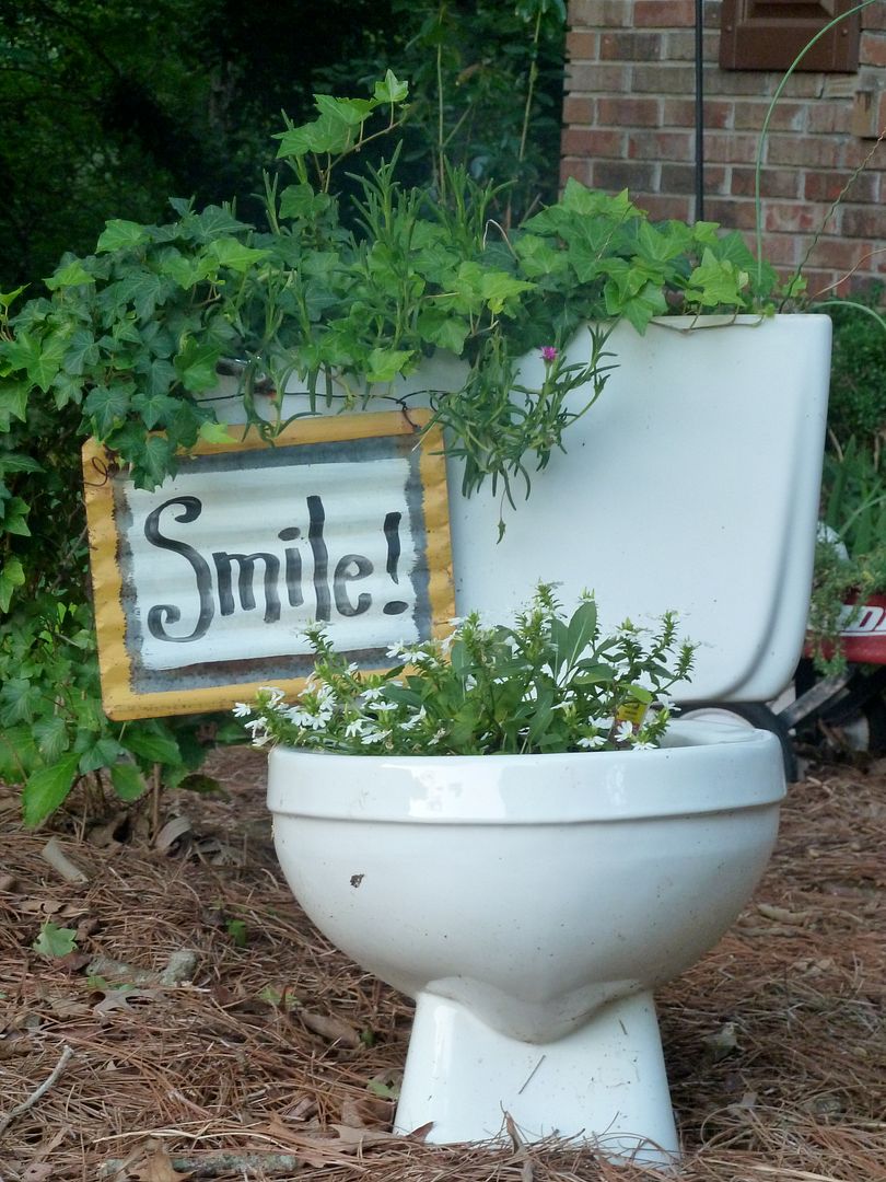 me_myrddin's tweet photo. Men have no forward thinking both Mick &amp; plumber laughed heads off when i asked for old toilet for a planter  whats wrong with them they look very funky  in garden🌻 https://t.co/T3CtDkoOeV