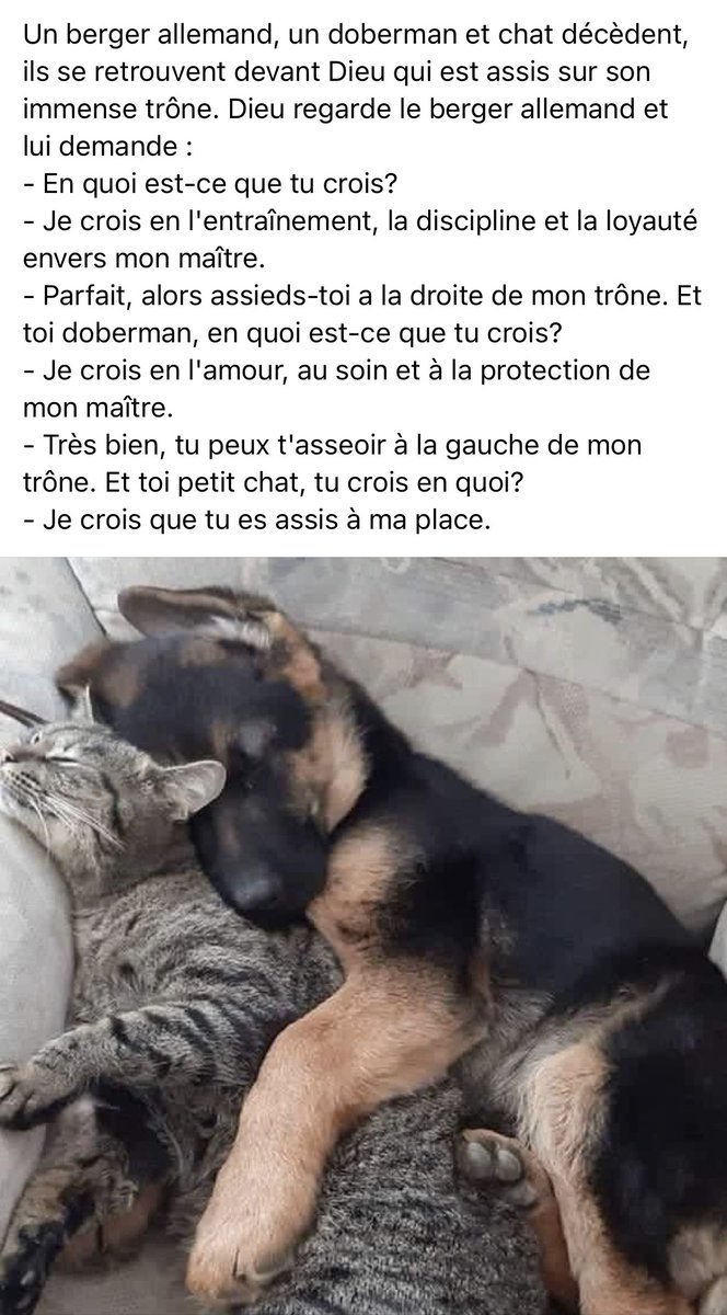 ChevauxUrgence's tweet photo. https://t.co/YDcZjEiqYi