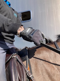 Hannah Bate Eventing tweet media