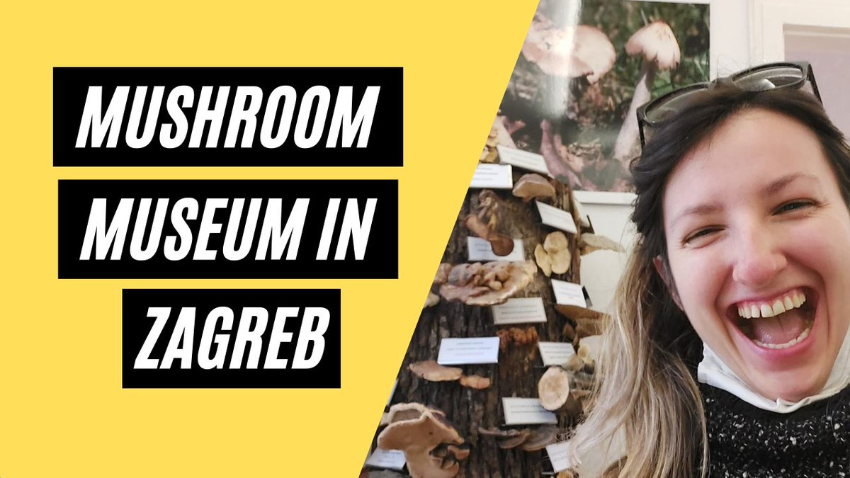 Guys, I have visited The mushroom museum in Zagreb! My happiness is obvious! This museum has the biggest number of freeze-dried mushrooms in the world! Enjoy and watch this video in HD! #mushrooms #museum #zagreb #croatia #europe #nature #video 
youtube.com/watch?v=2ssmuf…