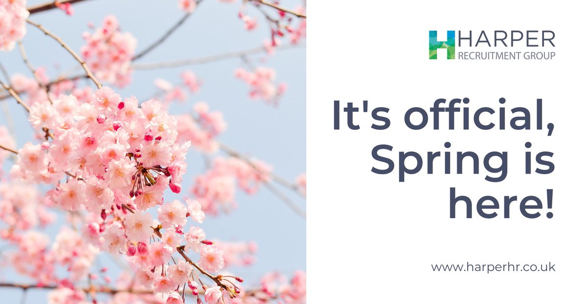 Harper Recruitment Group tweet media