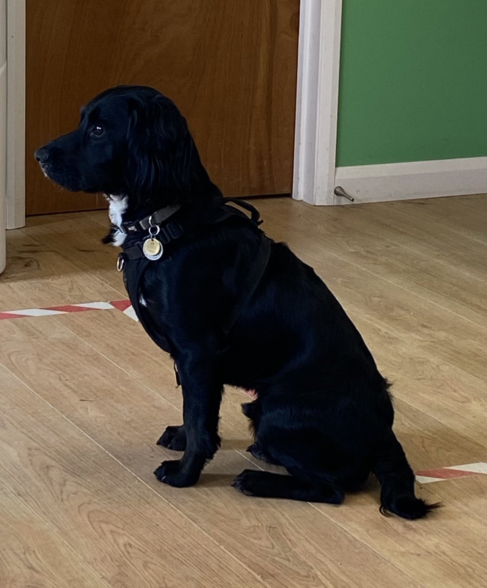 AMPSElectrical's tweet image. Waiting for the lovely Mike @edmundson_st for our delivery!