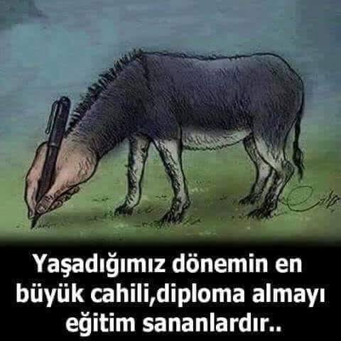 SakallA07740085's tweet photo. Yaşadığımız dönemin en büyük cahili, diploma almayı eğitim sananlardir 
eşek https://t.co/3RtPJMxYG5