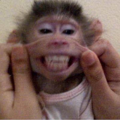 Suzansindi's tweet photo. #صورة_جديدة_للملف_الشخصي https://t.co/xJ1DGVwpt1
