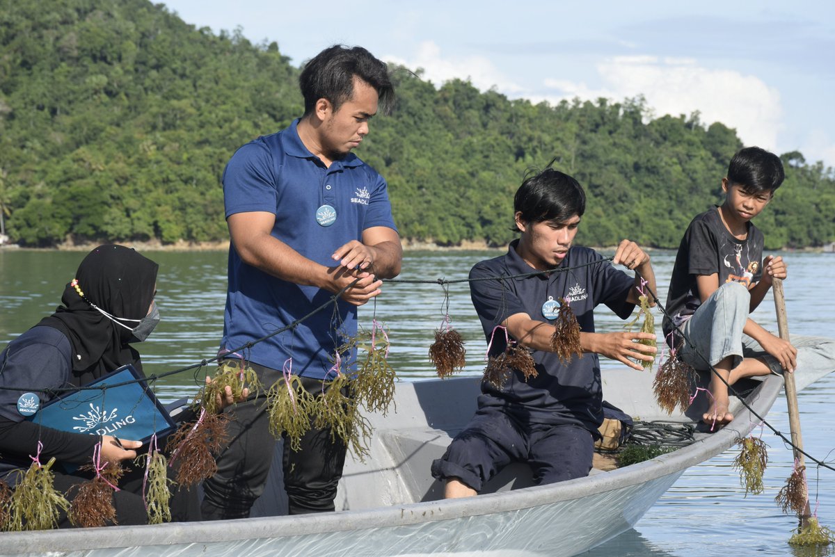 Seadling produces nutritional products from sustainable farming off the coast of Malaysia. Find out more at our #MonacoOceanWeek event on Thursday, with expert speakers and a showcase of pioneering #seaweed products bit.ly/Monaco2022