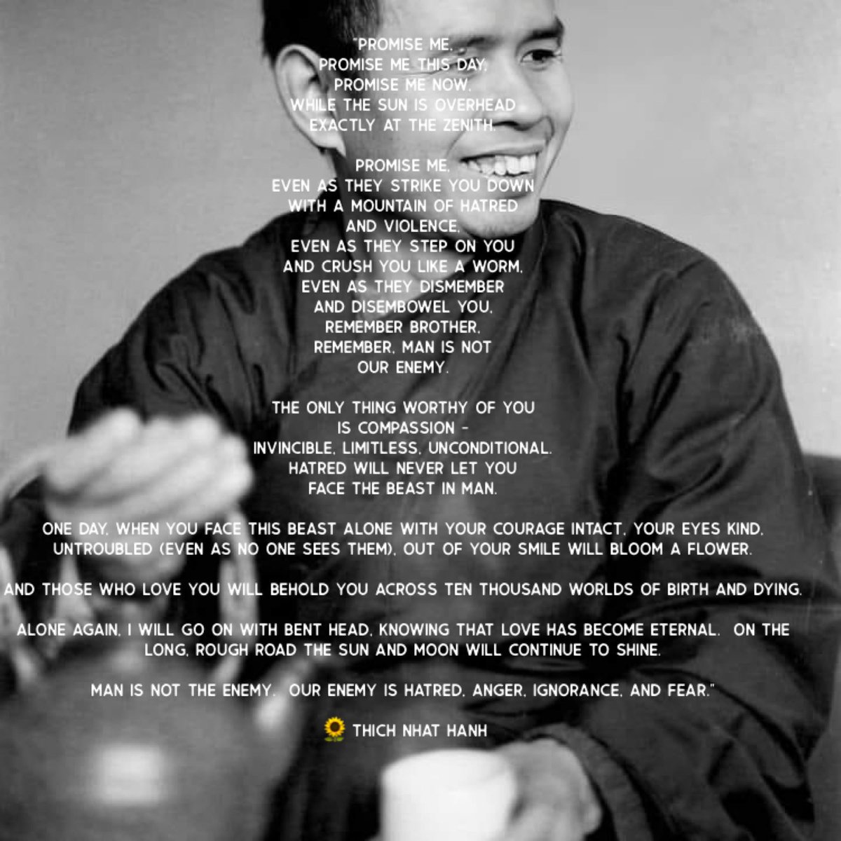 sandytrustteach's tweet photo. #compassion #Thich #Nhat #Hanh  #wisdom #lovewins https://t.co/AwguIH7afQ