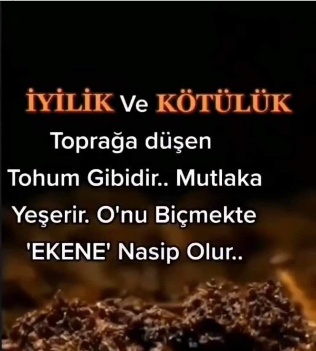 Fatma Burhan tweet media
