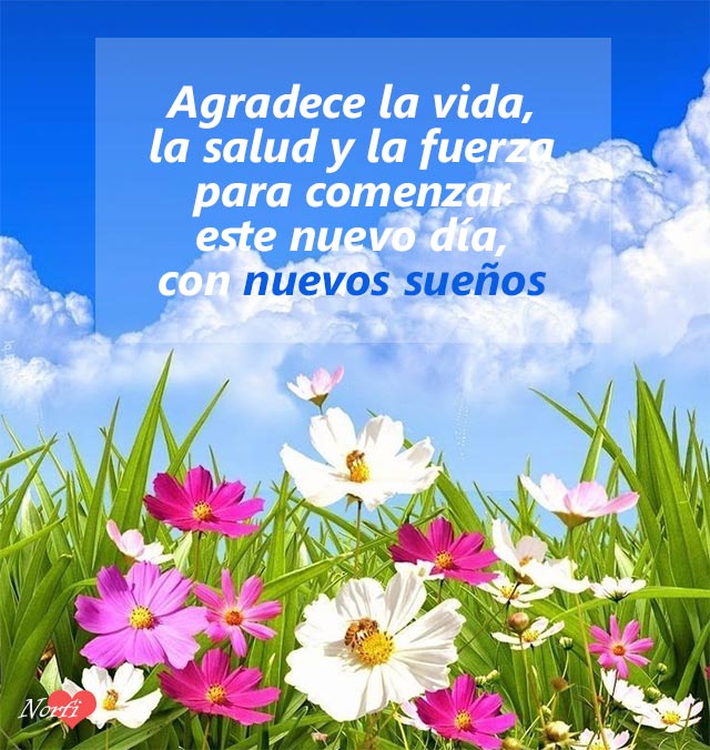 buenos dias feliz martes positivo Imágenes FrasesDeAmor on