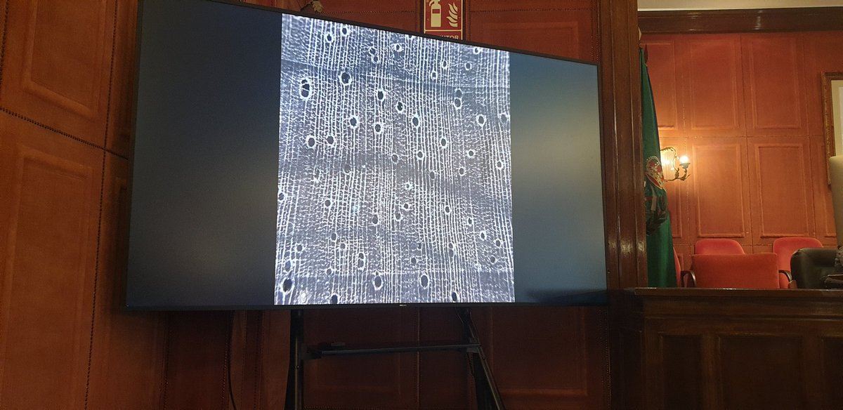 La_UPM's tweet photo. Luis García, director de @MontesUPM en la rueda de prensa de presentación del proyecto de identificación de madera por móvil: "Nuestro dispositivo incorpora la posibilidad de identificar distintos aspectos de la madera, entre ellos la fluorescencia o la saponificación" https://t.co/GEW70fL29V
