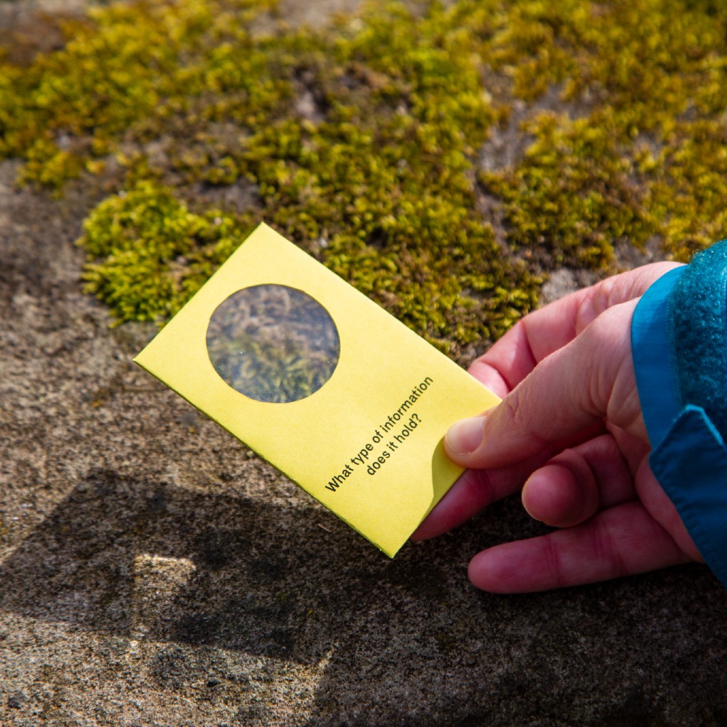 In this project we used creative methods to decentre human perspectives and instead draw attention to the ways in which humans and non-human others — such as soil, trees, foxes, weeds and insects — rely on each other to flourish in urban spaces.