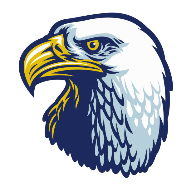 Dudehero2's tweet photo. Do you love Eagle?🤫 https://t.co/KwA7XBphr6