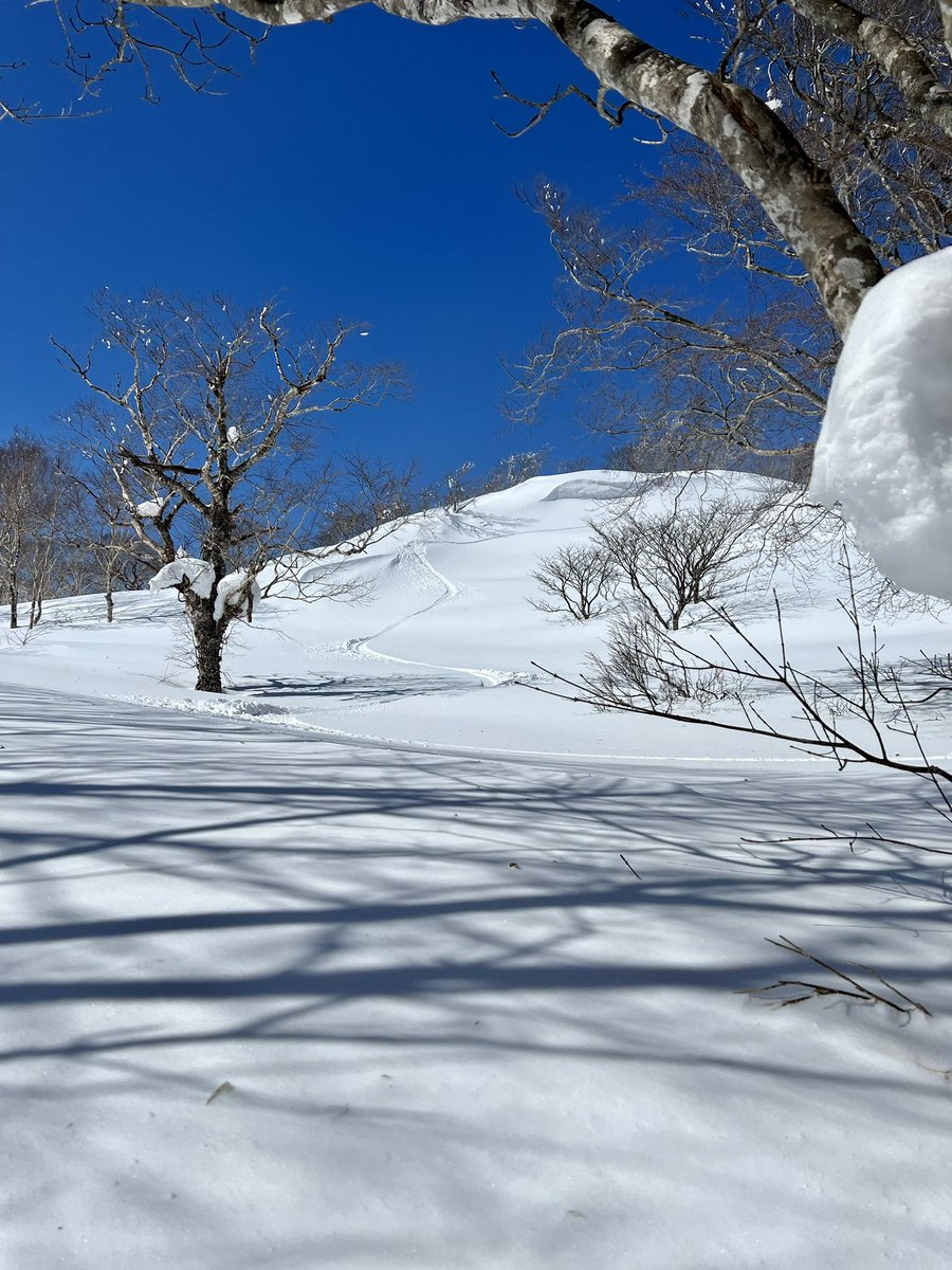8Mountain's tweet photo. とぅでぇ〜
すのぉ〜ぼぉ〜でぃんぐぅ〜
#岩手山 #八幡平　#スノーボード  #パウダー #八幡平ブルー https://t.co/Hh6QDBj2nt