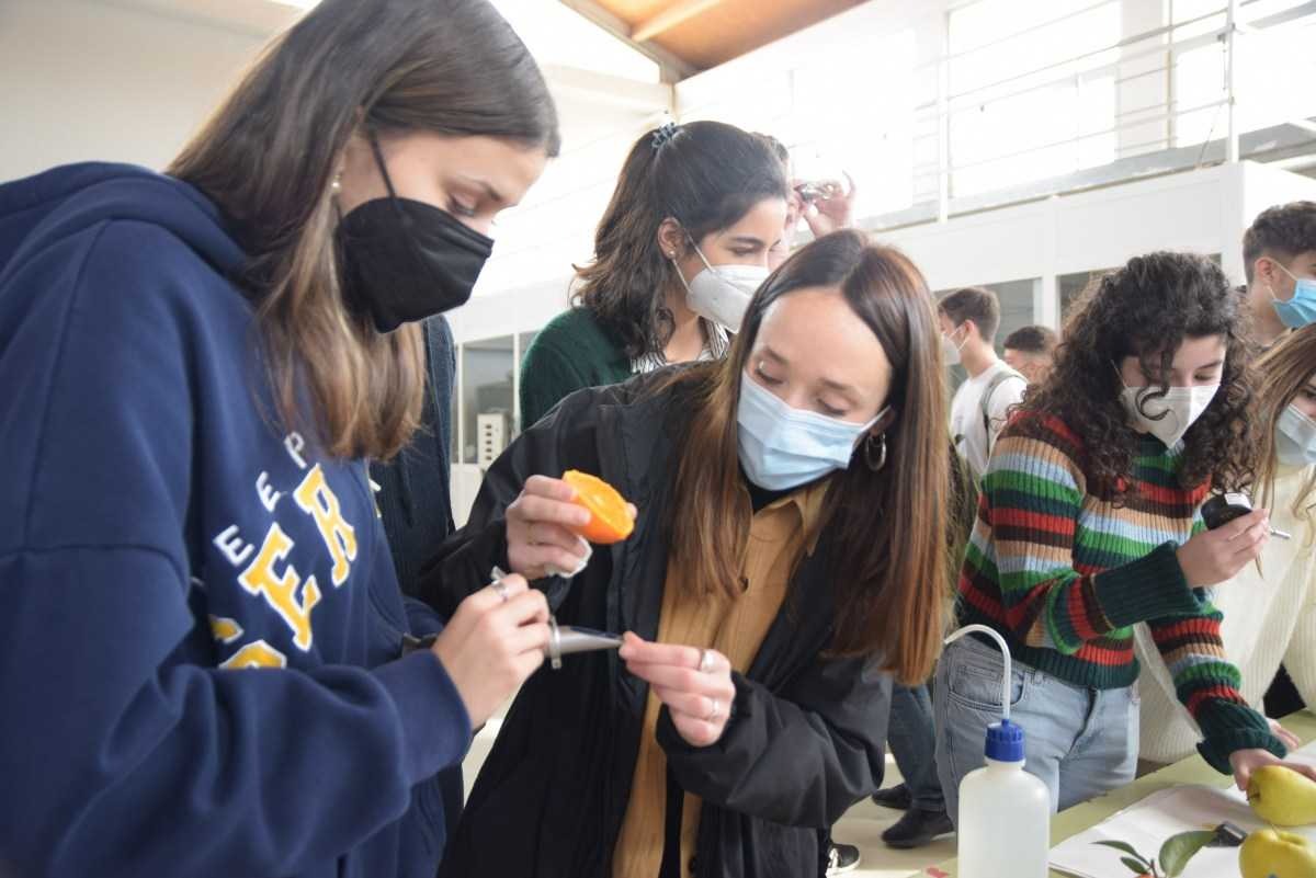 iaxmurcia's tweet photo. @etsiaupct @UPCTnoticias @Educarm Nuestros alumnos 👩🔬👨🔬 realizaron prácticas 🔬🧫🧪⚗️ de cultivos hidropónicos , determinación de materia orgánica de suelos y postprocesado de alimentos.
#SemanaCienciaIAX
@UPCTnoticias
@Educarm https://t.co/AO2EogRBeH