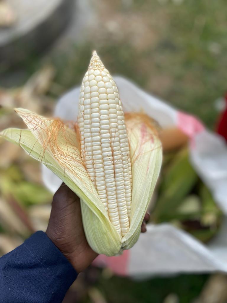 "Every day is Earth Day when you work in agriculture"

#MoneyInTheSoil
