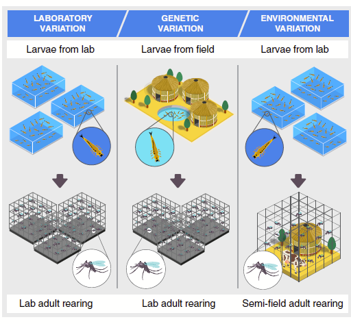 Fredros Okumu tweet media