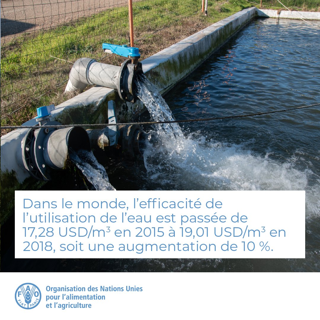 Un nouveau rapport de la <a href="/FAO/">Food and Agriculture Organization</a> montre que le 🌎 n’est pas en voie d’atteindre l’#ODD6.

Découvrez comment les pays progressent vers les objectifs de développement durables liés à l'efficacité de l'utilisation de l'eau et au stress hydrique 👉bit.ly/3Iu7ftj

#WorldWaterDay