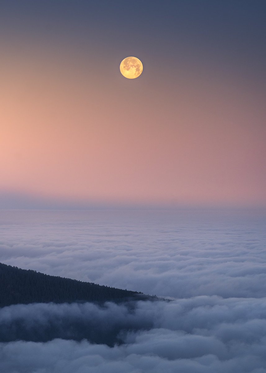Imanolzuaznabar's tweet photo. La bonita combinación luna + mar de nubes durante el amanecer en Tenerife. https://t.co/B5j6uj1XPQ