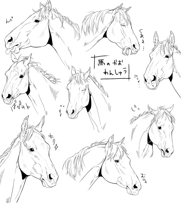 馬の顔練習 