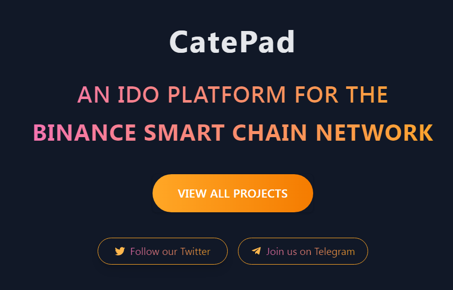 catecoin's tweet photo. Finally, Our IDO Platform is ready 🚀
Visit - https://t.co/cJaTsmqwzy

Stake your #catecoin to participate in #catpay IDO. https://t.co/O32hRLPfxl