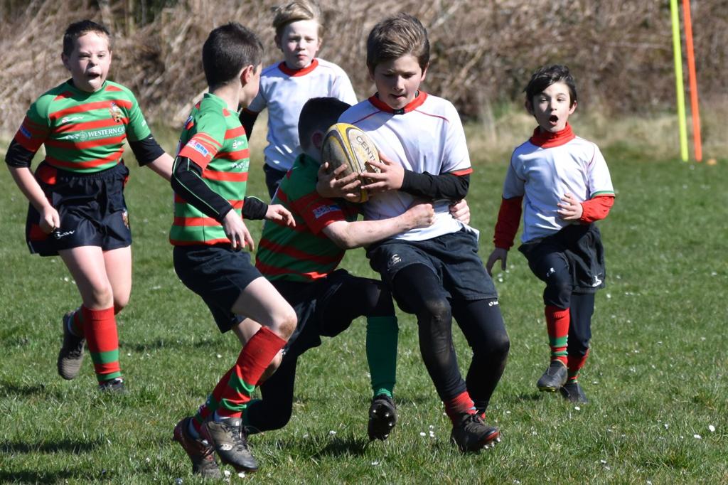 DunvantU10s's tweet photo. Not to let a Sunday go without a game, we had Dunvant U9 vs Dunvant U10 πͺπ @DunvantRFC #whoarewe #dunvantrfc #dunvantfamily #rugby #grassrootrugby #juniorrugby https://t.co/l1wnqY7t3o